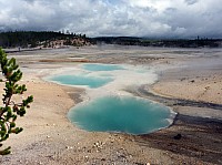 Yellowstone Norris Geyser Colloidal Pool (4).JPG